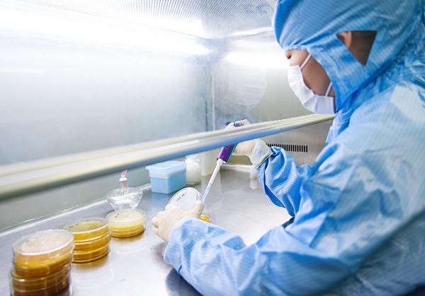 兄弟科技研發(fā)平臺